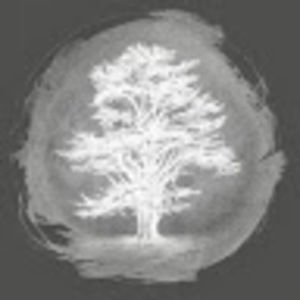 Meet your Posher, Eden